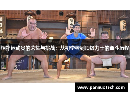 相扑运动员的荣耀与挑战：从初学者到顶级力士的奋斗历程