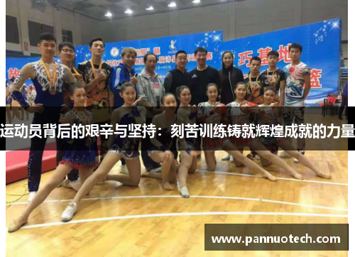 运动员背后的艰辛与坚持：刻苦训练铸就辉煌成就的力量