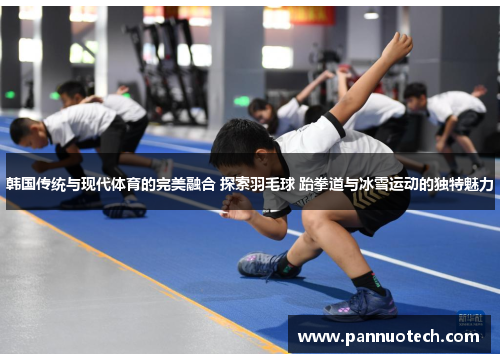 韩国传统与现代体育的完美融合 探索羽毛球 跆拳道与冰雪运动的独特魅力
