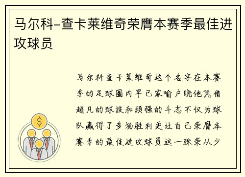 马尔科-查卡莱维奇荣膺本赛季最佳进攻球员